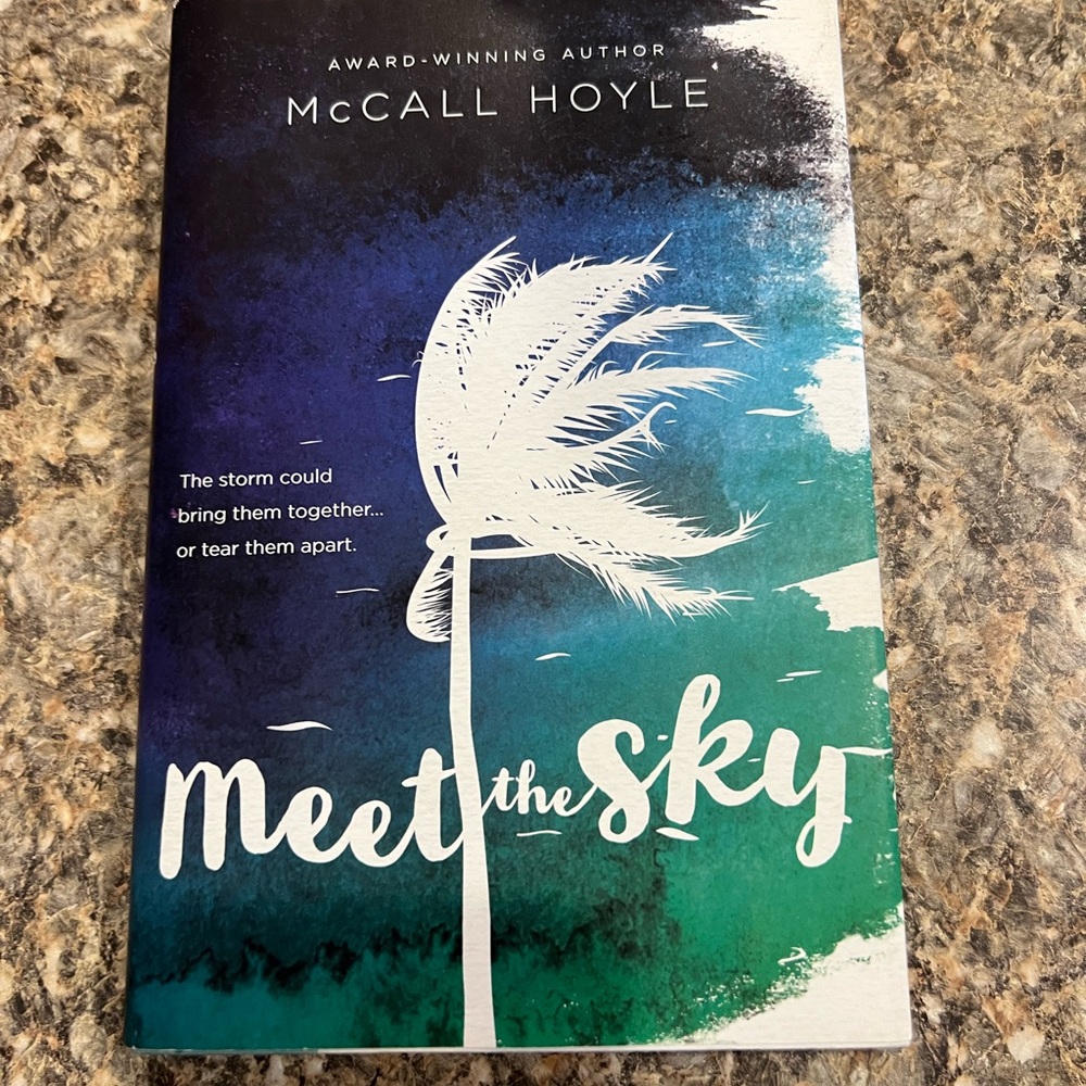 Meet the Sky Book by McCall Hoyle